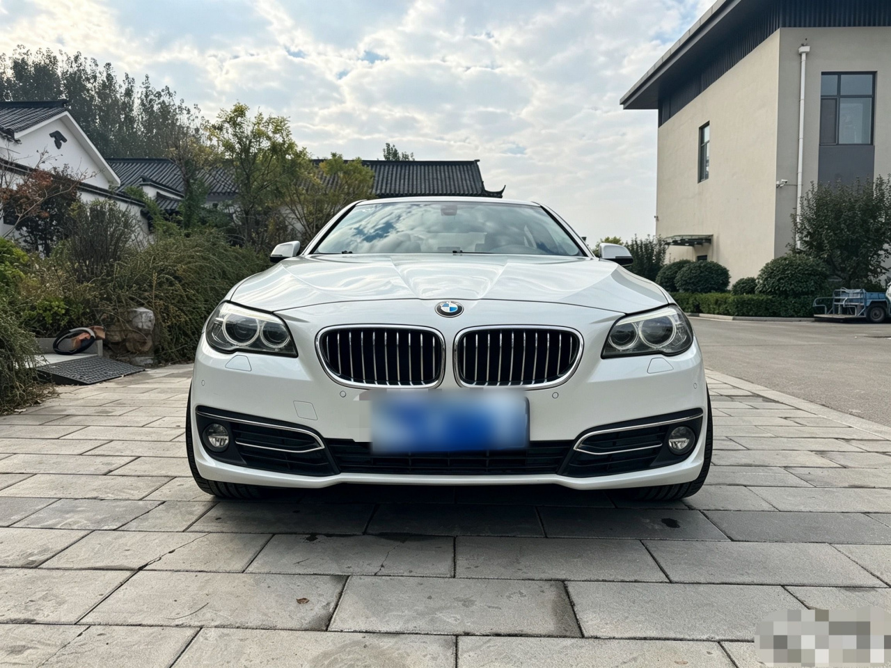 5 Series 2014 525Li Luxury Design Package photo 5