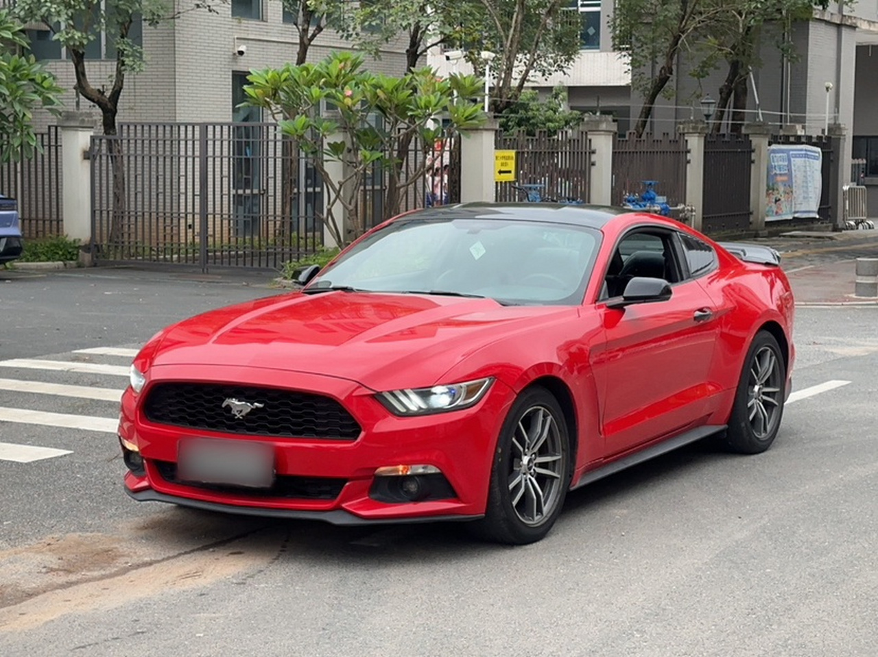 Mustang Parallel Import