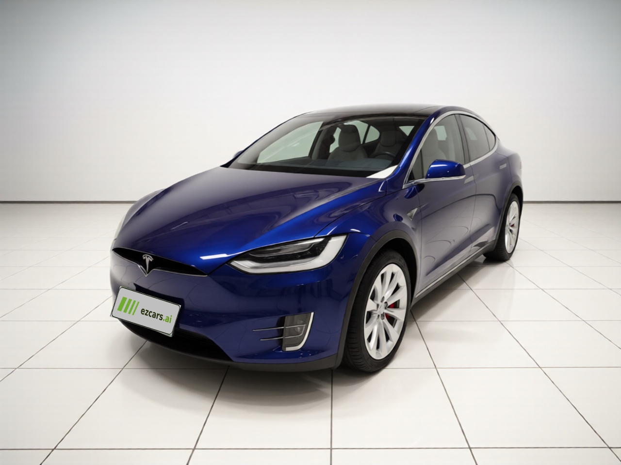 2017 Model X 100D Long Range