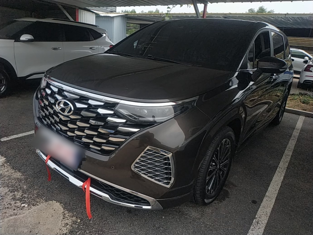 Custo 2024 270TGDi LUX Premium