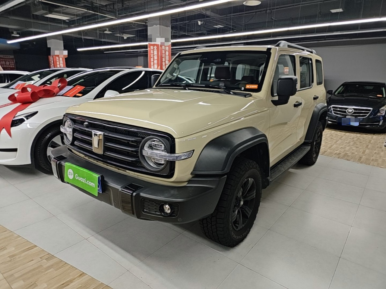 300 2025 2.0T Petrol Conqueror