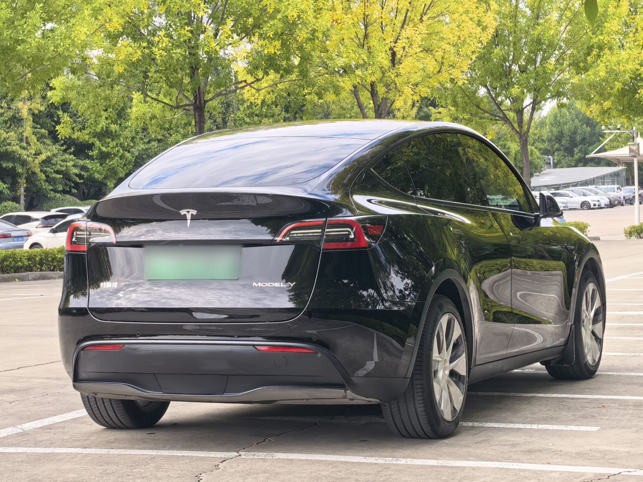 Model Y 2021 Standard Range RWD photo 4