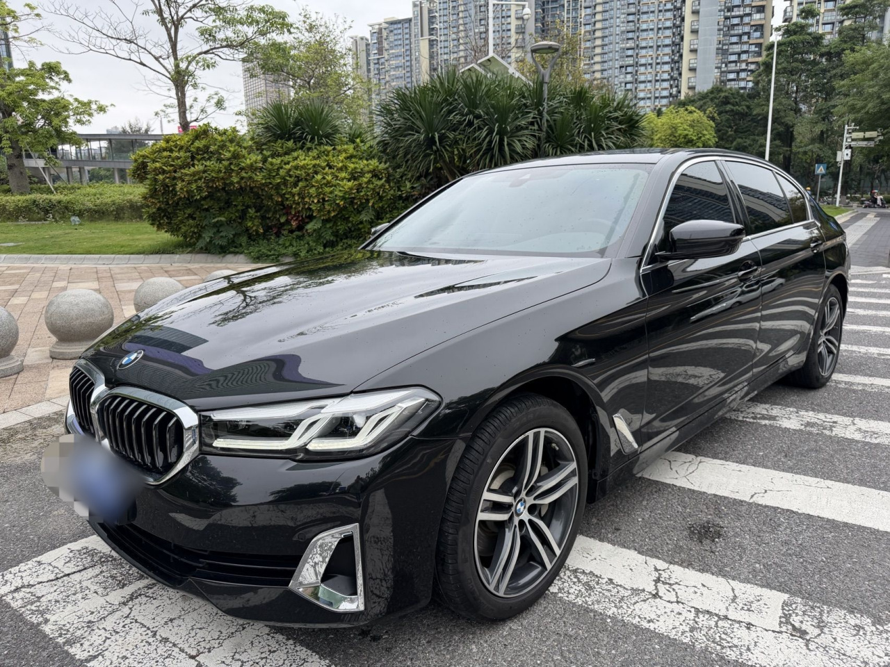5 Series 2021 530Li Leading Luxury