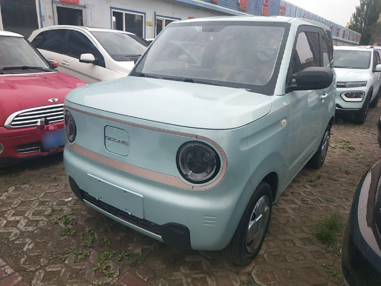 2023 Panda mini 200km Endurance Bear