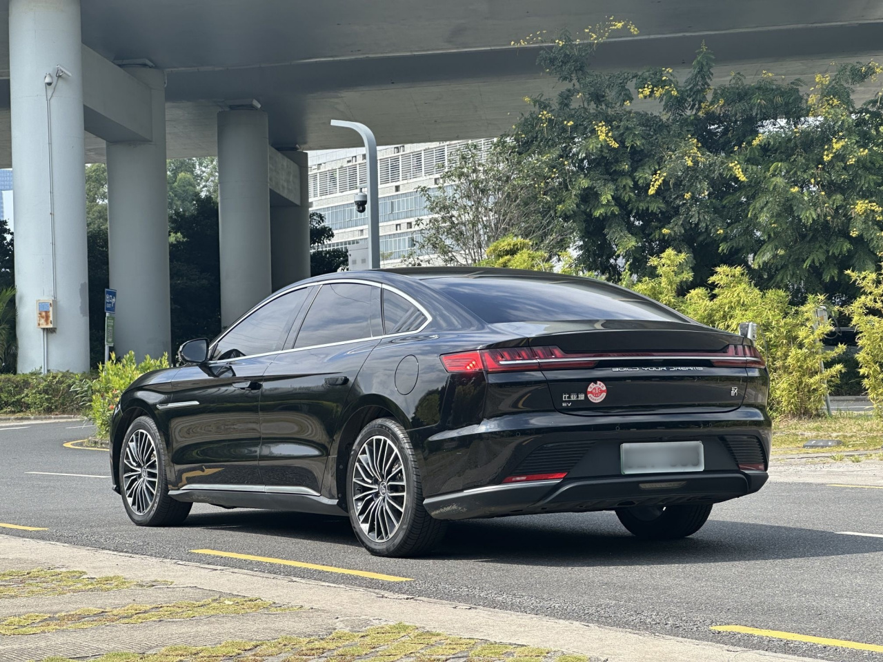 Han 2020 EV Extended Range Luxury photo 5
