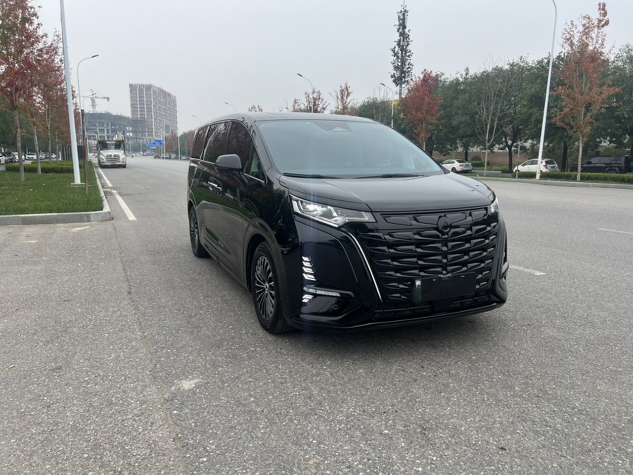 D9 2024 DM-i 980 AWD Noble photo 5