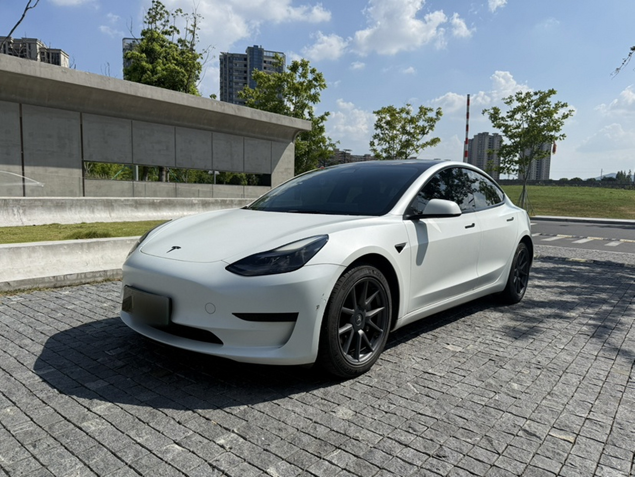 Model 3 2021 Standard Range RWD Upgraded 3D6