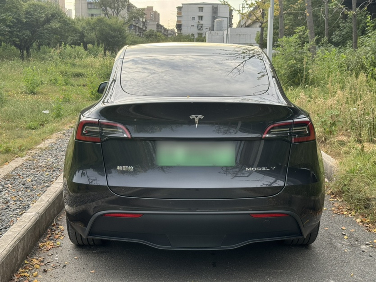 Model Y 2024 RWD photo 3
