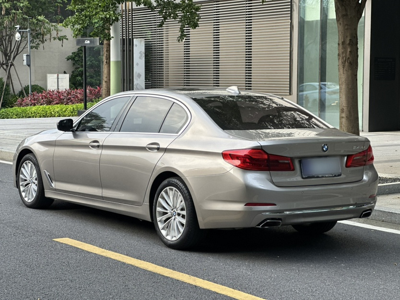5 Series 2019 530Li Leading Luxury photo 4