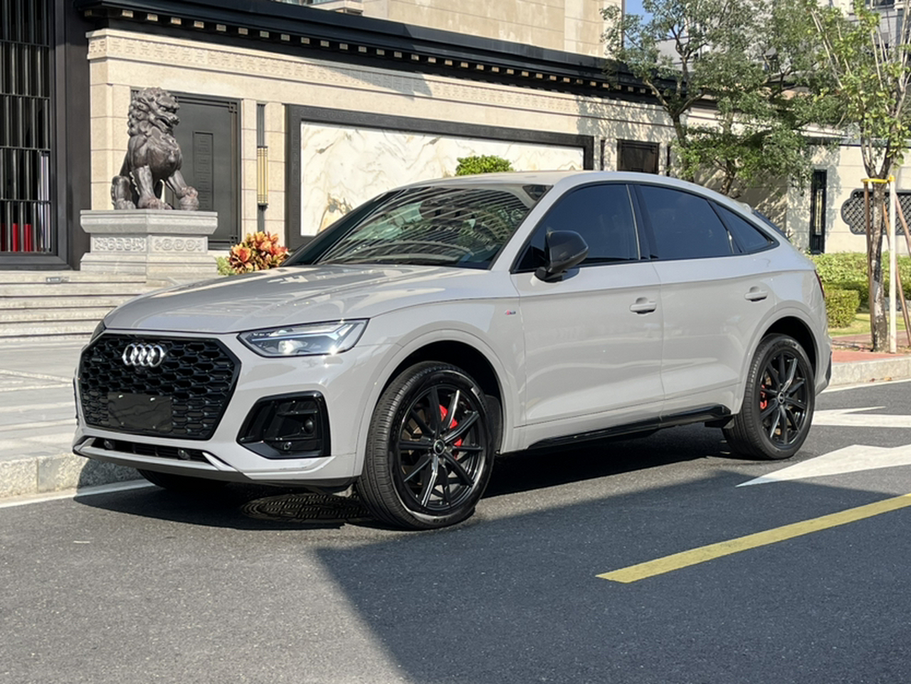 Q5L Sportback 2021 40 TFSI Luxury