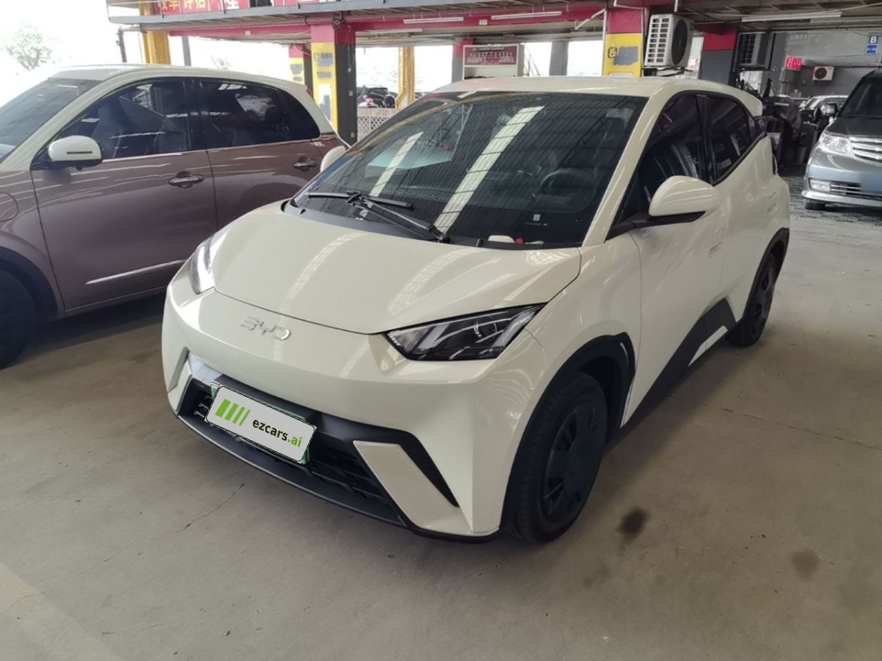 Seagull 2025 305km