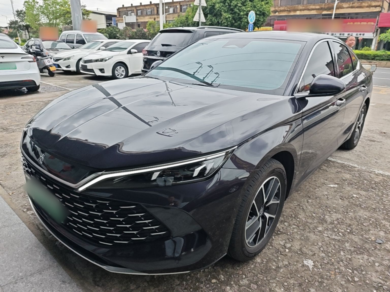 Qin L 2024 DM-i 120KM