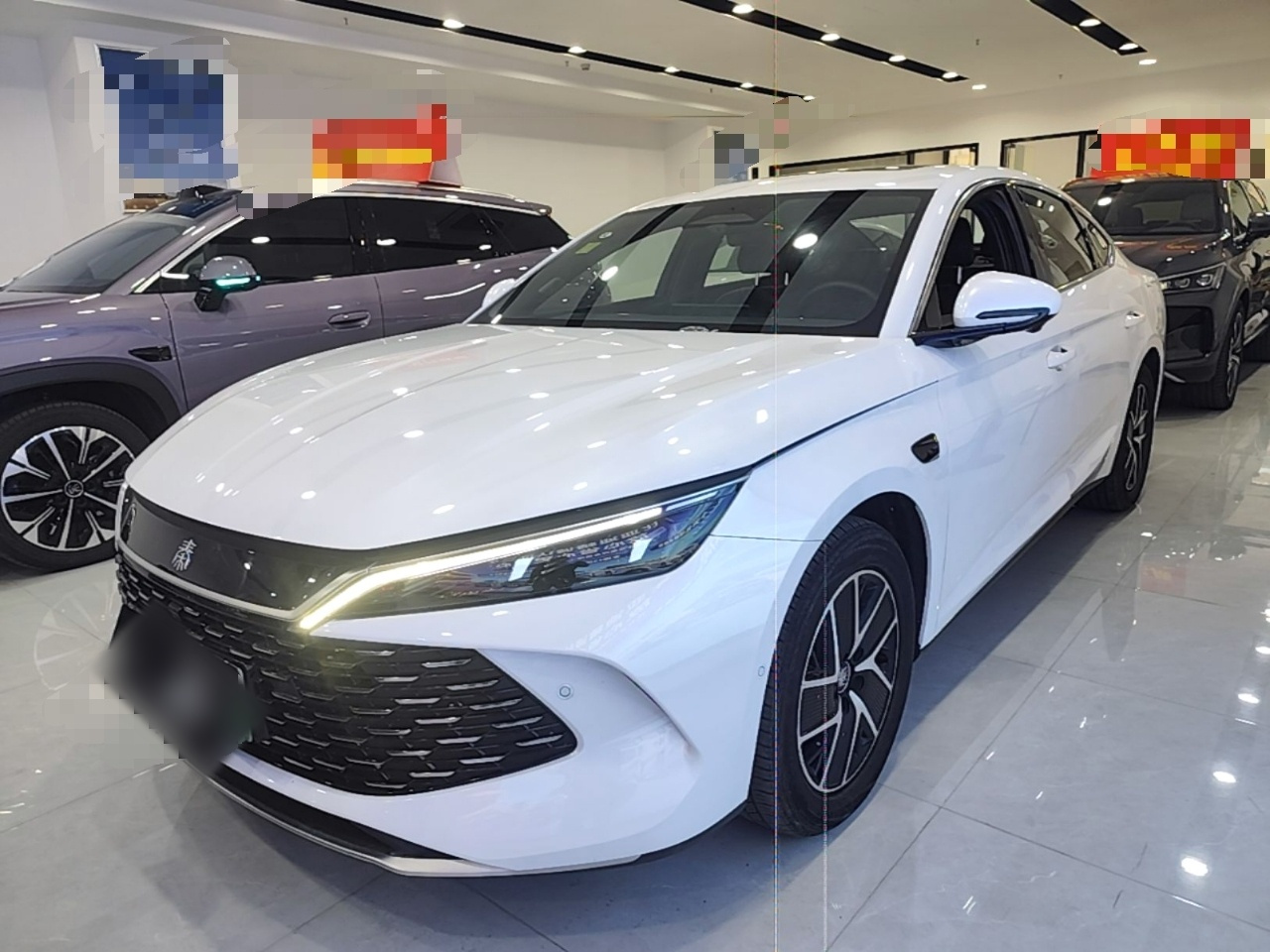 Qin L 2025 DM-i ADAS 120KM