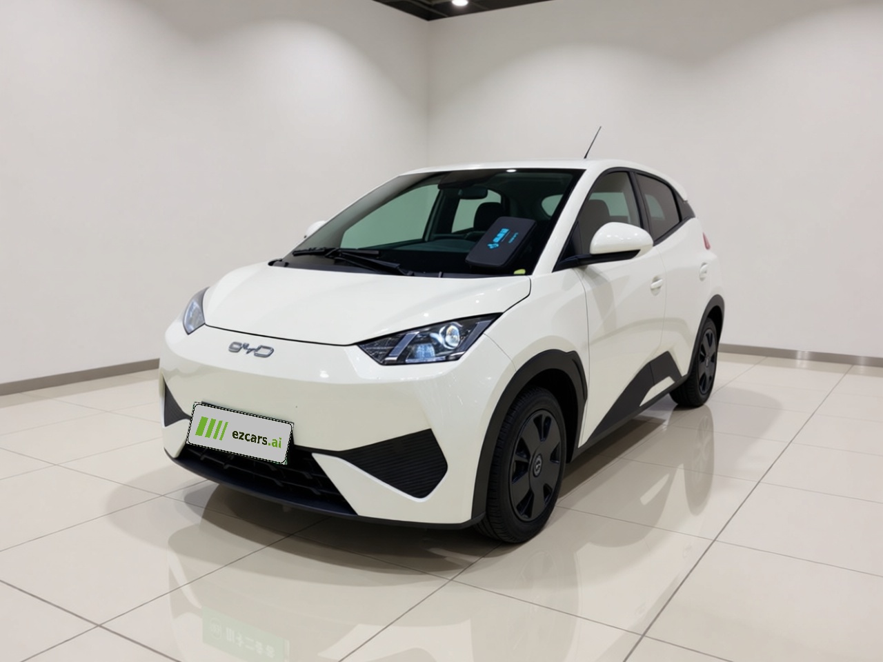 Seagull 2025 ADAS 305km