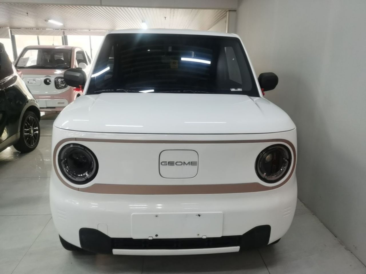 2024 Panda mini 200km Endurance Bear photo 2
