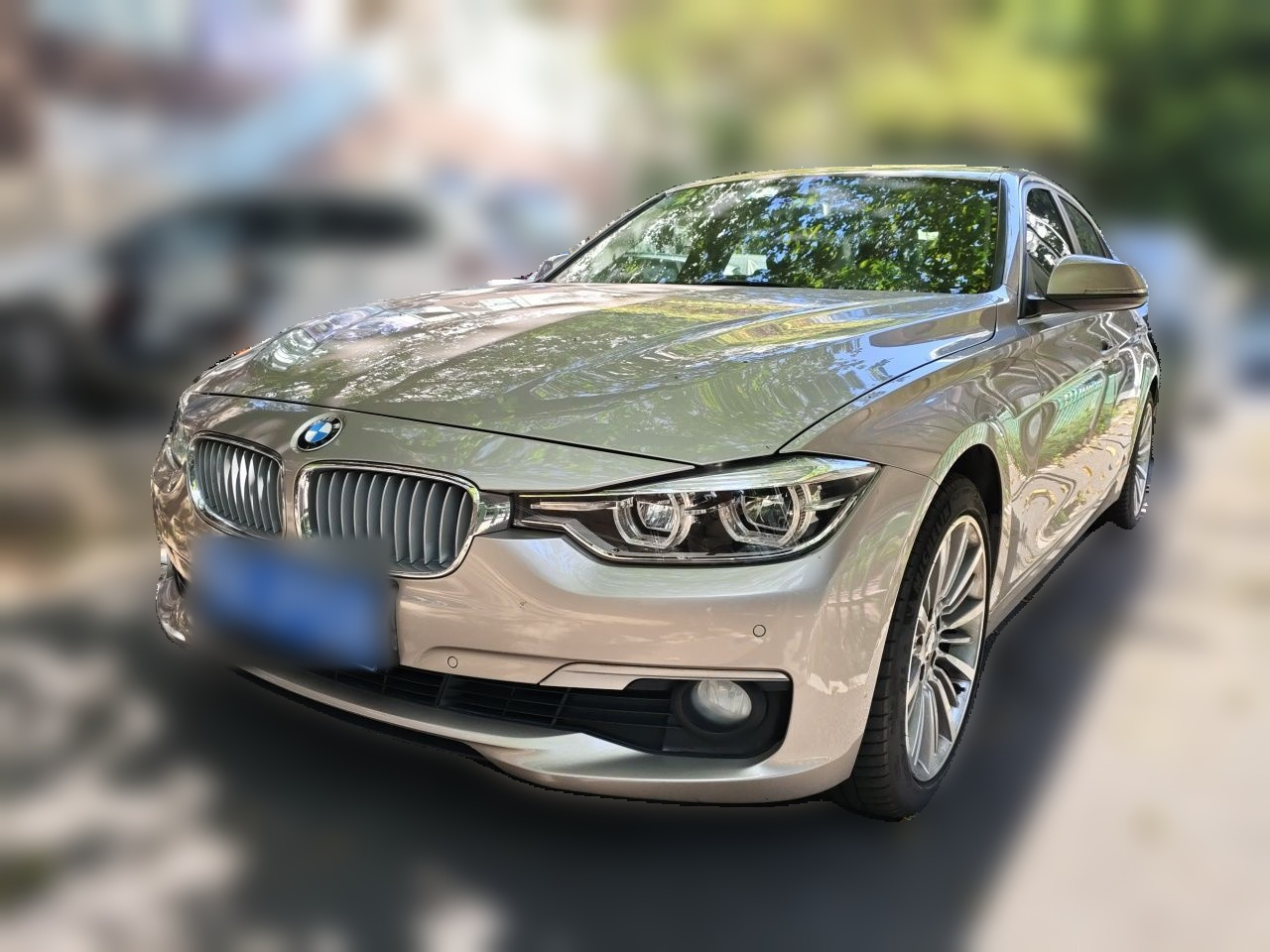 3 Series 2019 320Li Fashion