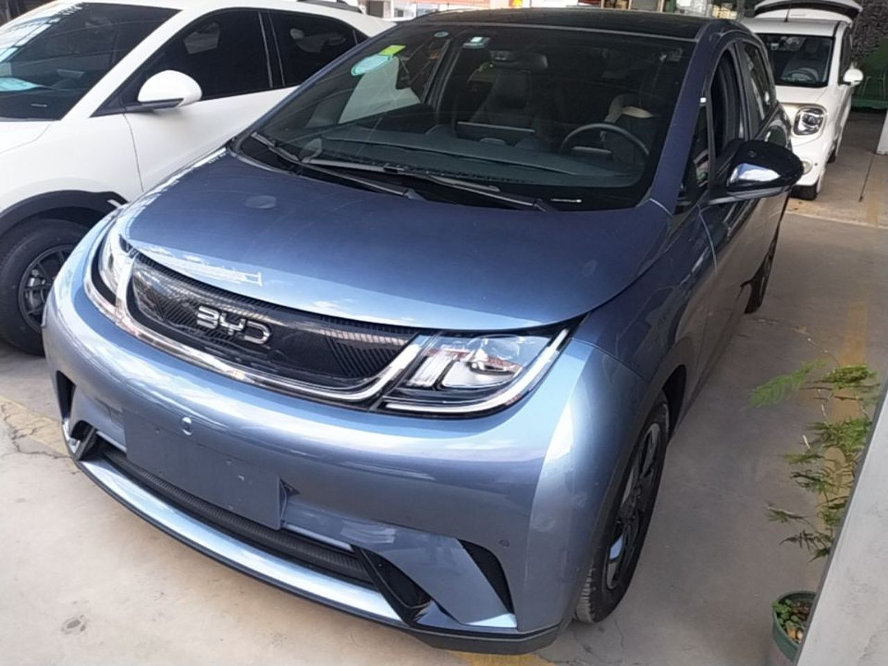 Dolphin 2024 Honor 420km