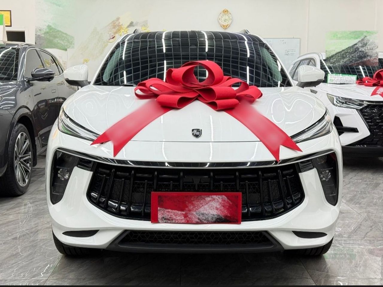 Forthing T5 EVO 2021 1.5TD DCT photo 2