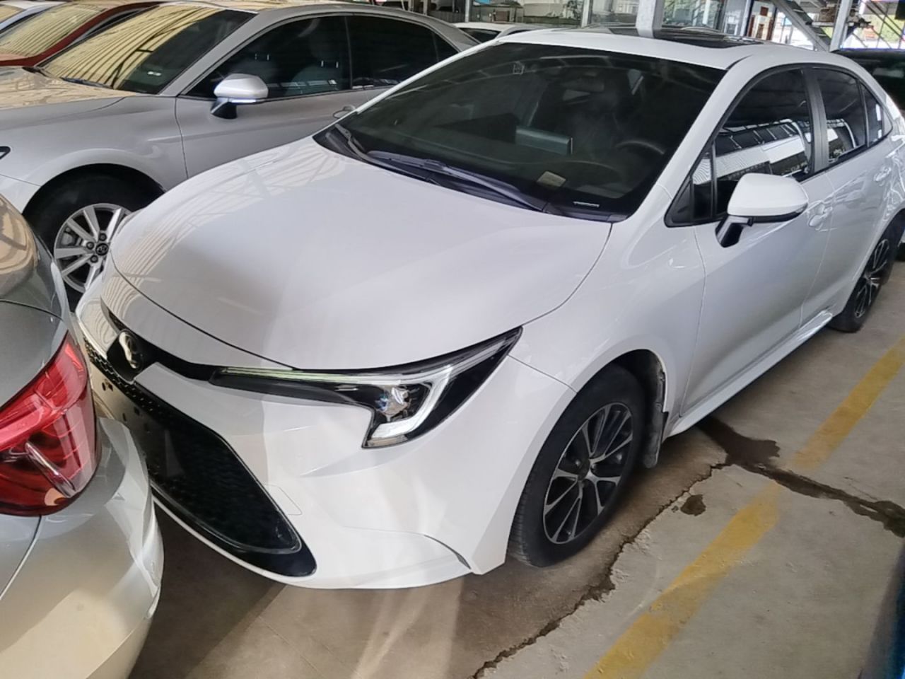 Levin 2023 185T CVT Luxury