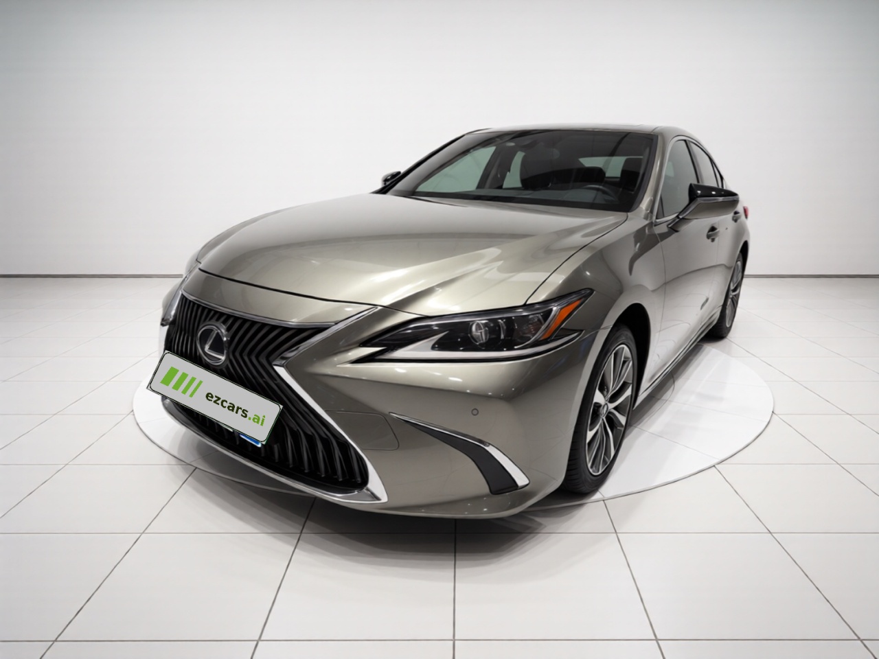 ES 2018 300h Excellence China VI