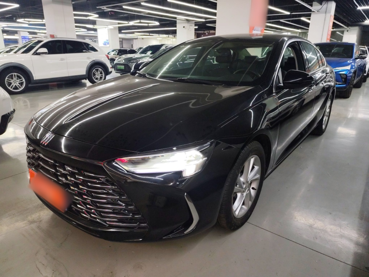 Regal 2024 25T