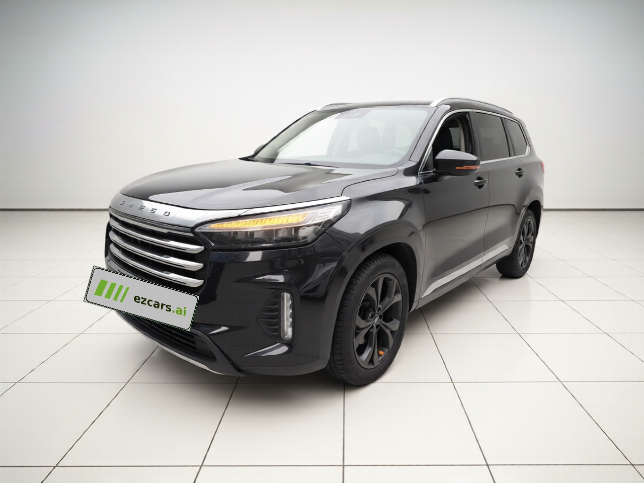 2021 390T RWD Starlight Long Range