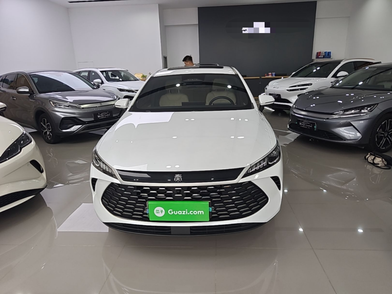 Qin PLUS 2025 DM-i ADAS 55KM photo 2