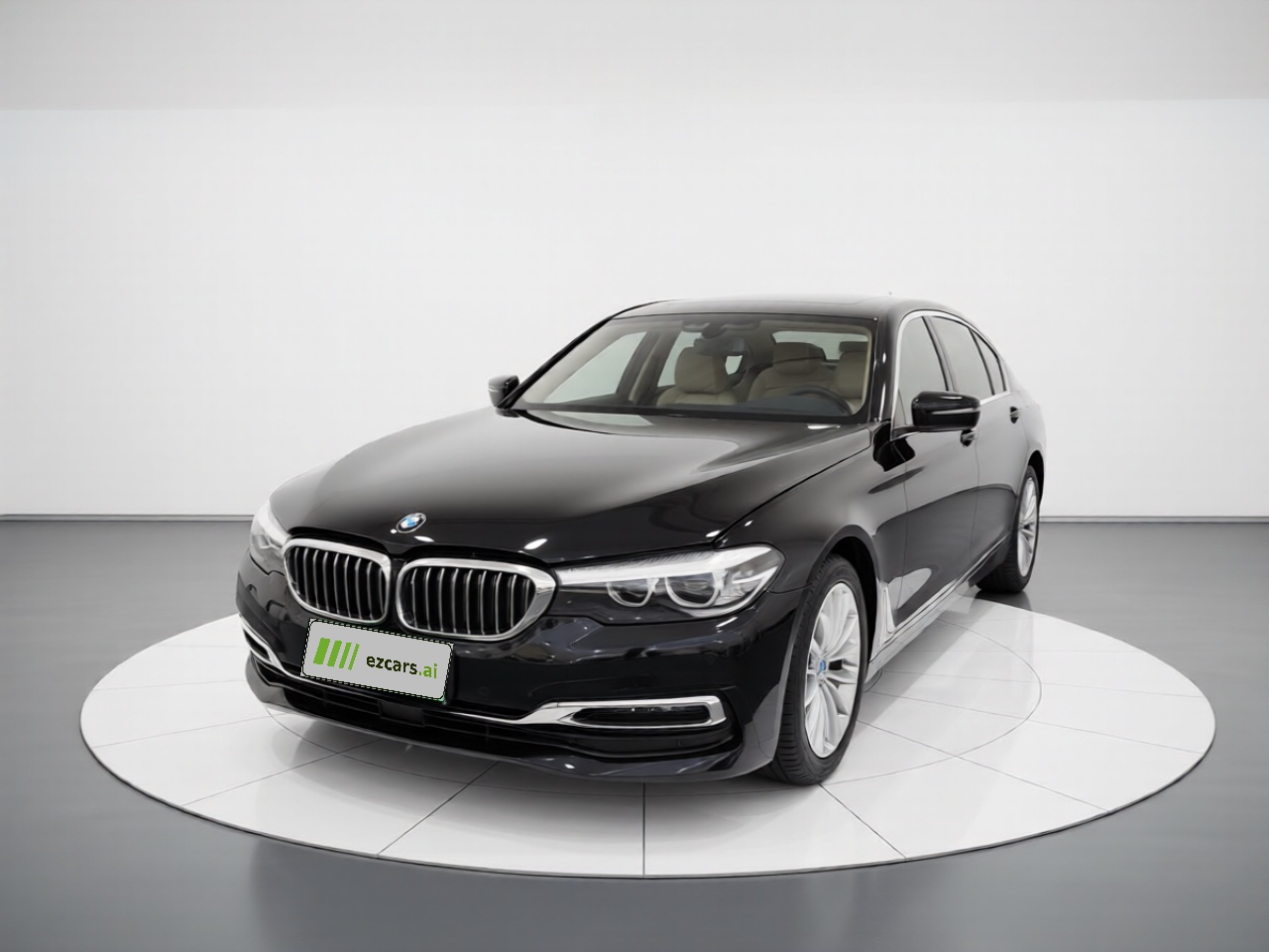 5 Series 2019 530Li xDrive Luxury