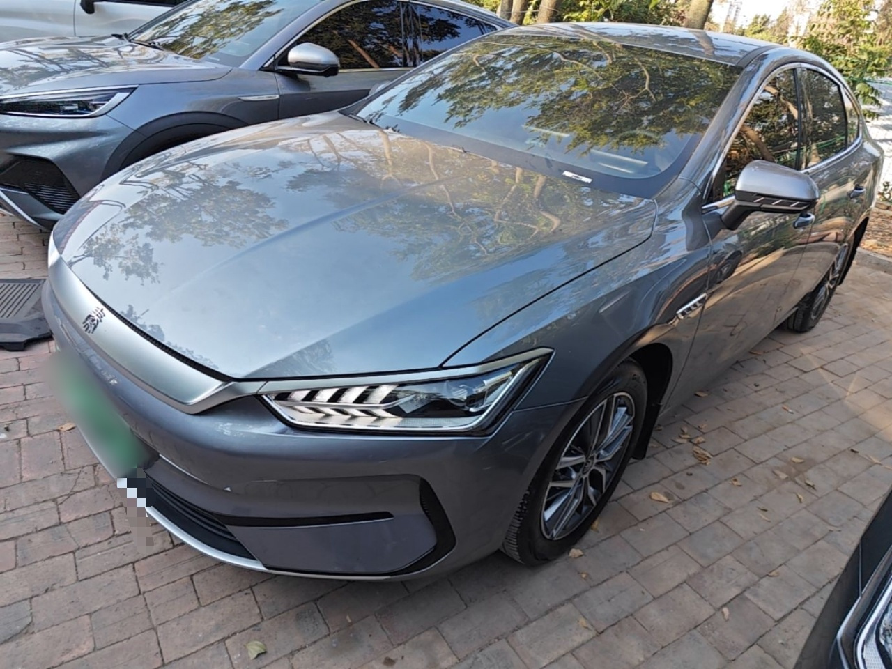 Qin PLUS 2024 Honor EV 510KM Leading