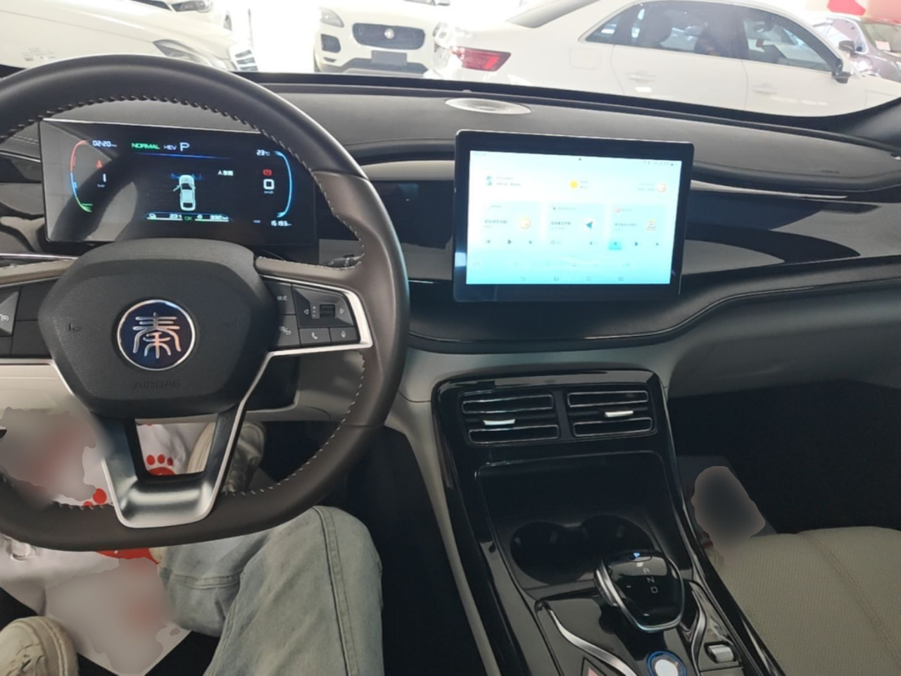Qin PLUS 2024 Honor DM-i 55KM Leading