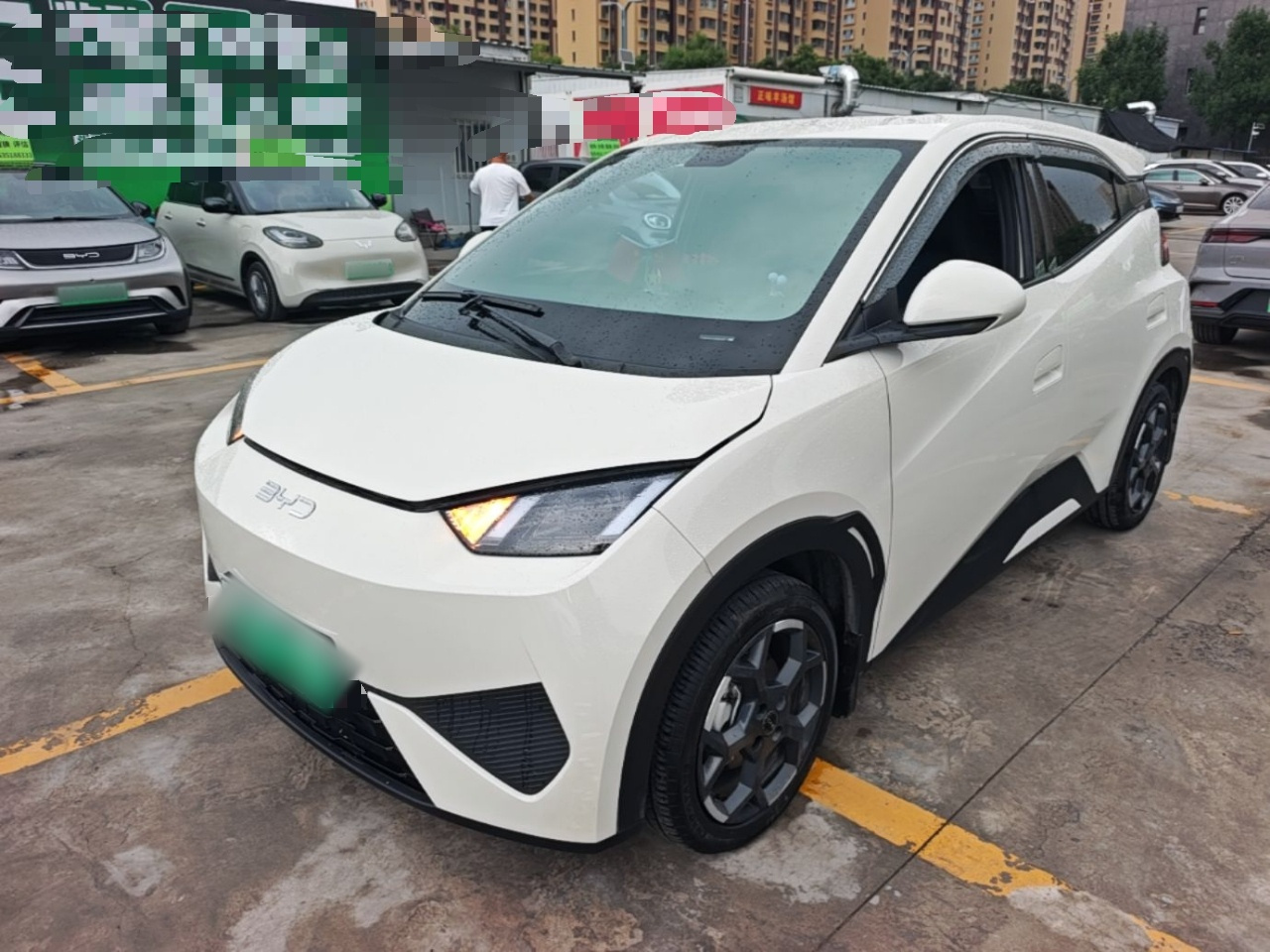 Seagull 2025 ADAS 405km