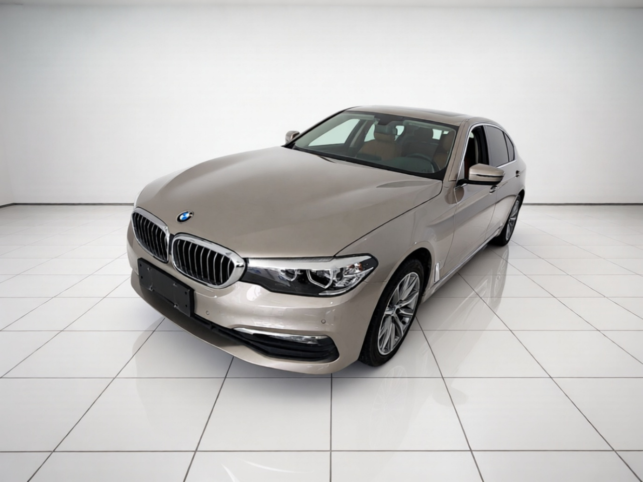 5 Series 2018 528Li Special
