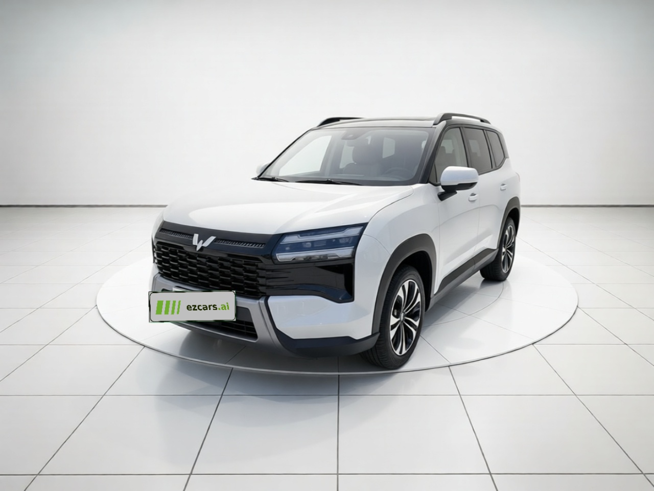 560 EV 2026 125km Luxury