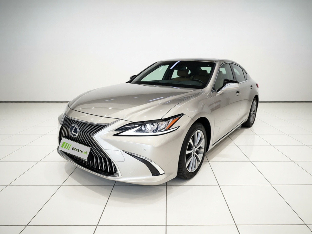 ES 2018 300h Excellence China VI