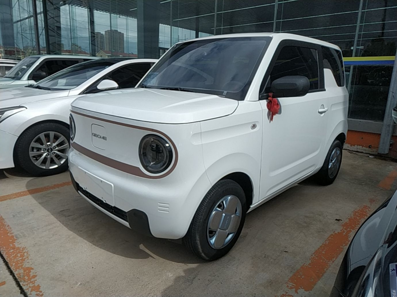 2024 Panda mini 200km Endurance Bear