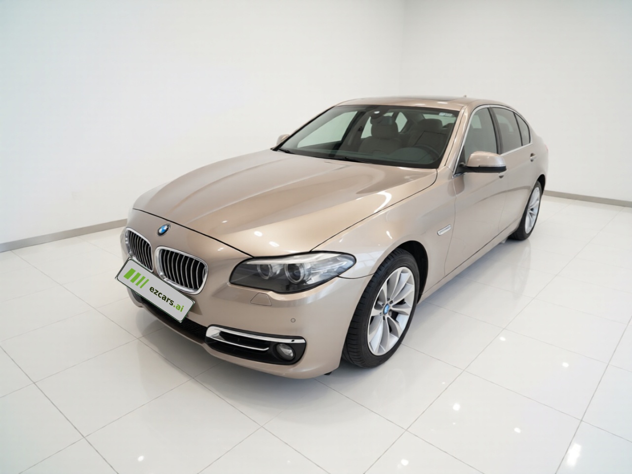5 Series 2017 528Li Leading