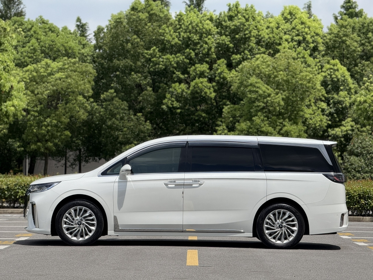 Voyah Dreamer 2022 0 + ADAS 475km photo 2