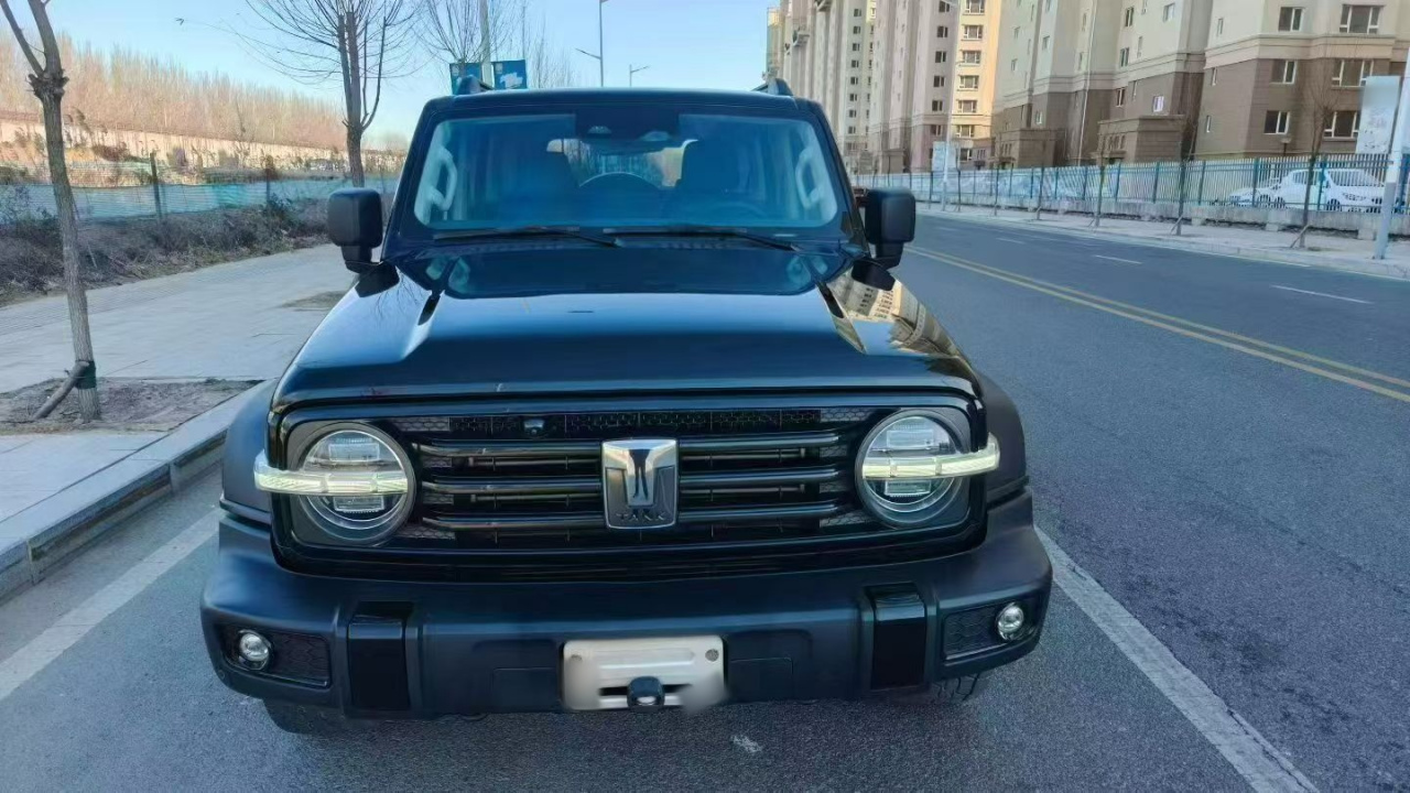 300 2021 Off-road 2.0T Conqueror photo 2