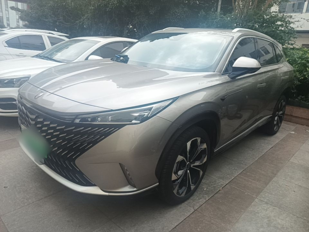 RX5 EV 2023 eRX5