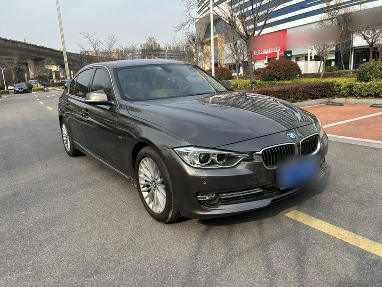 3 Series 2013 Facelift 320Li Luxury Design Package photo 3