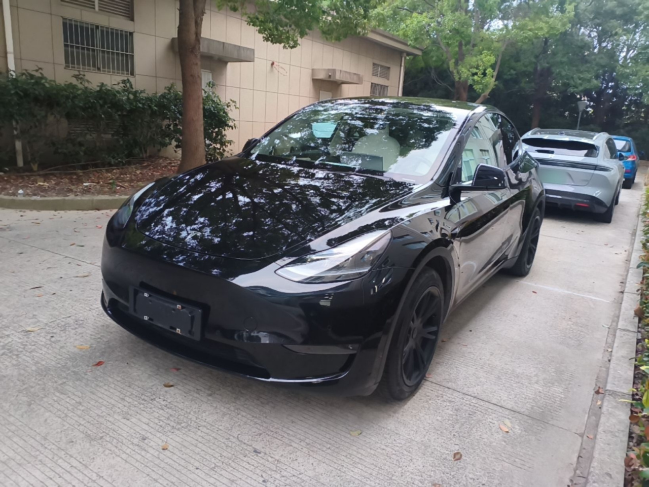 Model Y 2021 Standard Range RWD