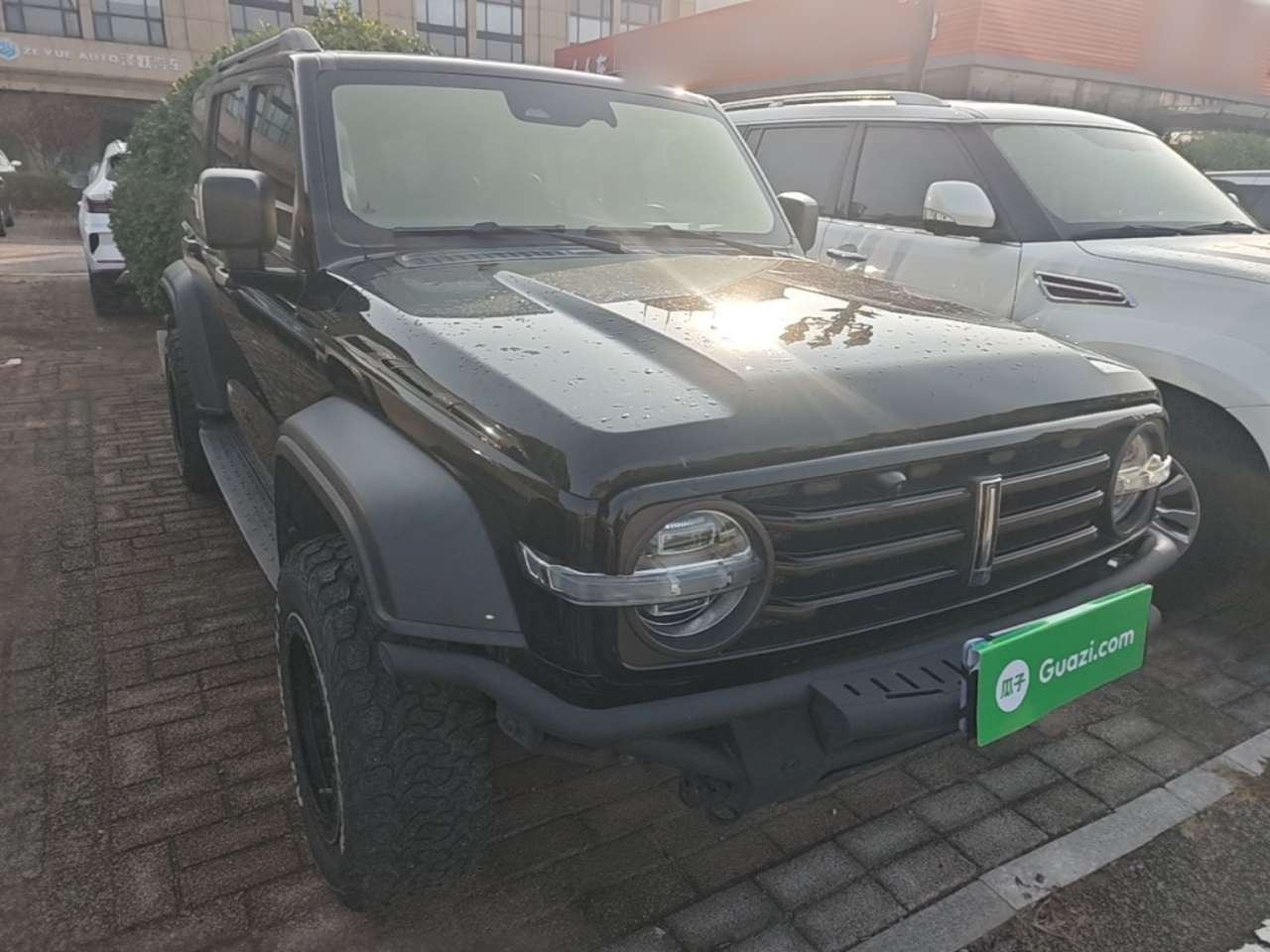 300 2021 Off-road 2.0T Conqueror photo 3