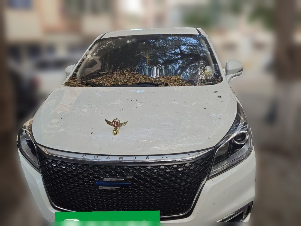 2019 1.5T AT Flagship China VI photo 2