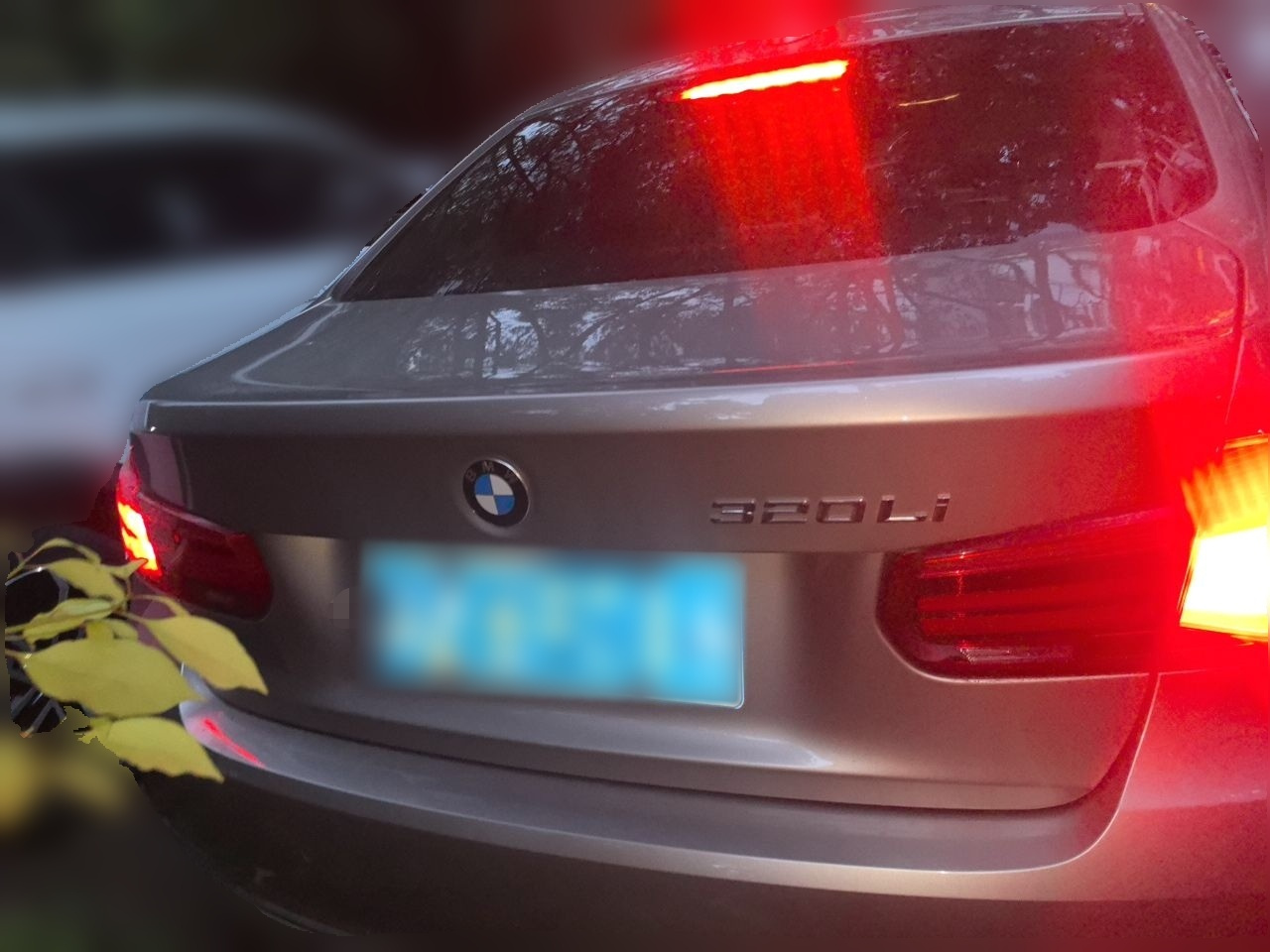 3 Series 2018 320Li Fashion photo 5