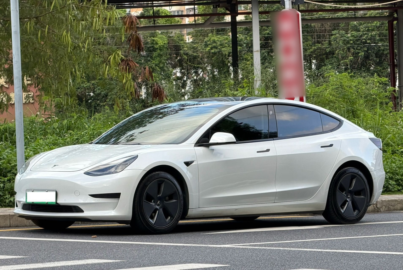 Model 3 2021 Standard Range RWD Upgraded