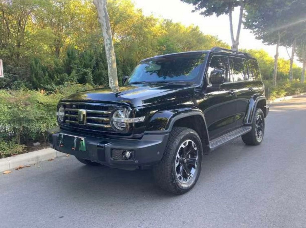 300 EV 2024 Hi4-T