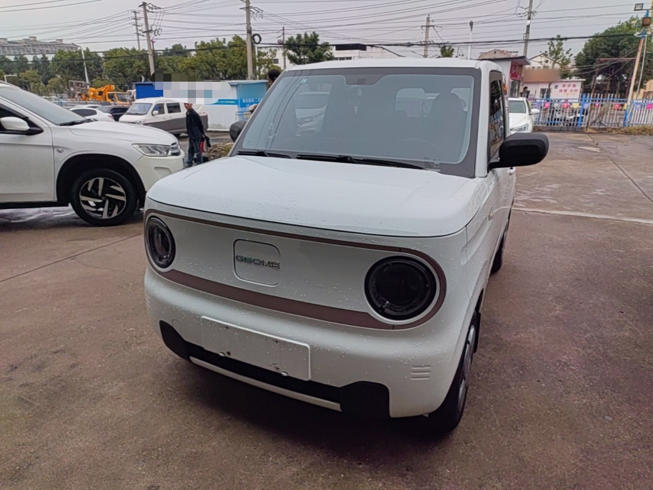 2024 Panda mini 200km Endurance Bear