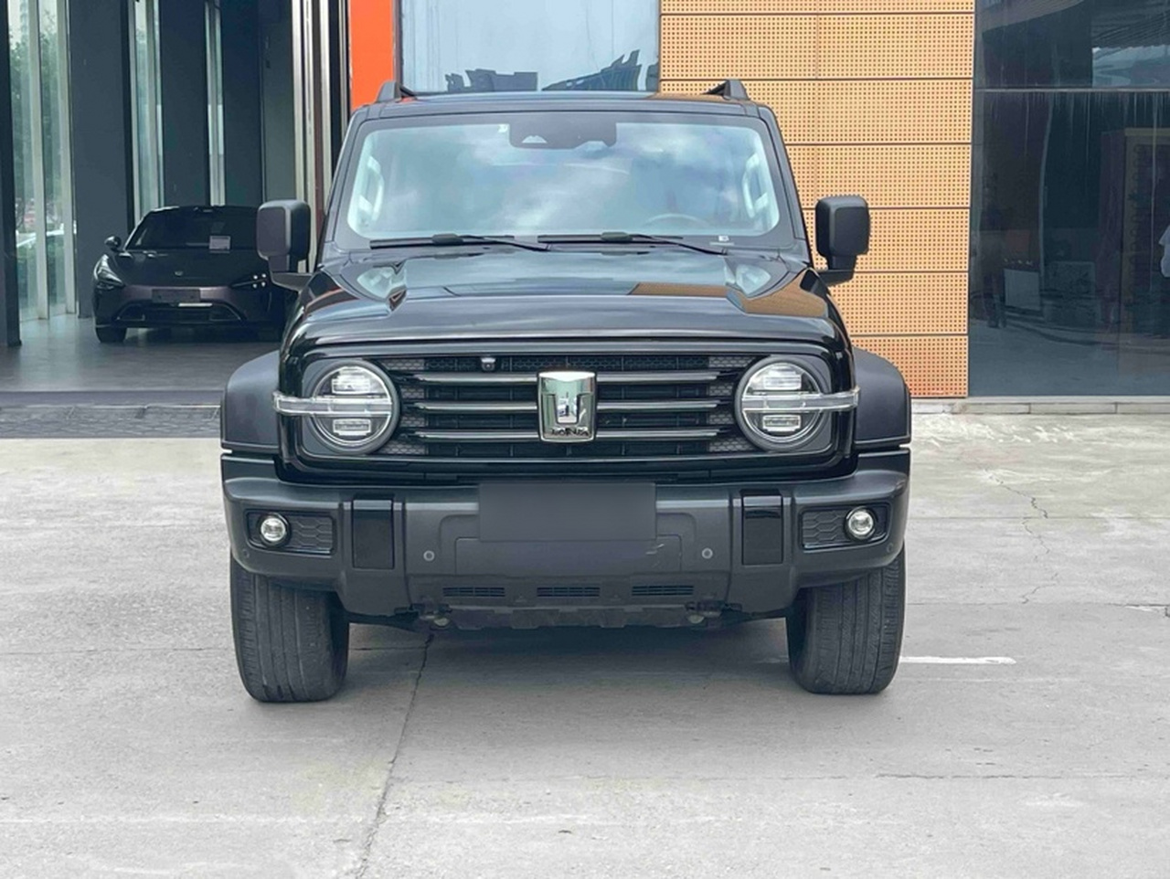 300 2021 Off-road 2.0T Conqueror photo 2