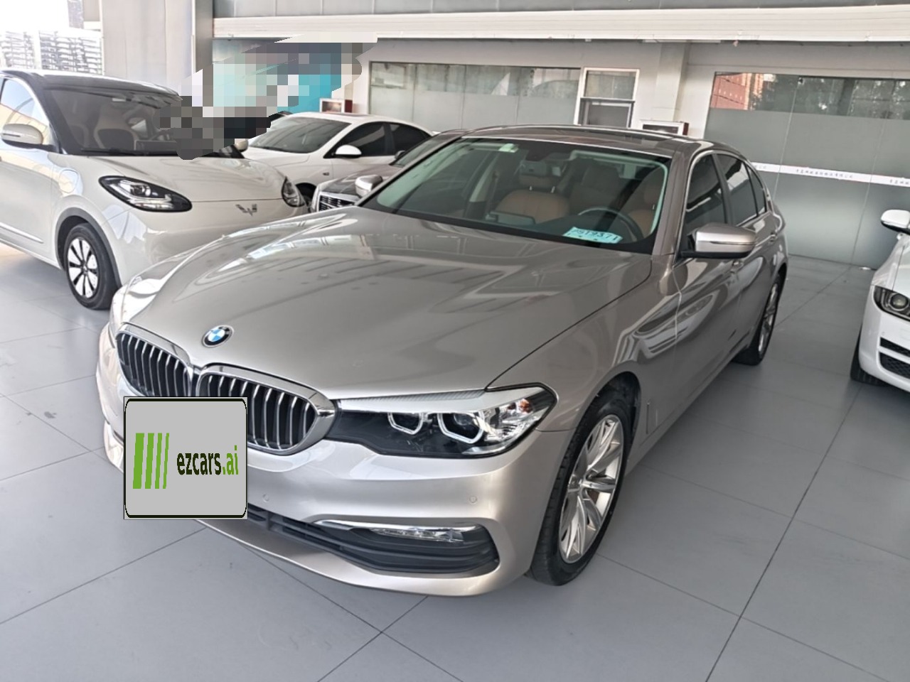5 Series 2018 528Li Special