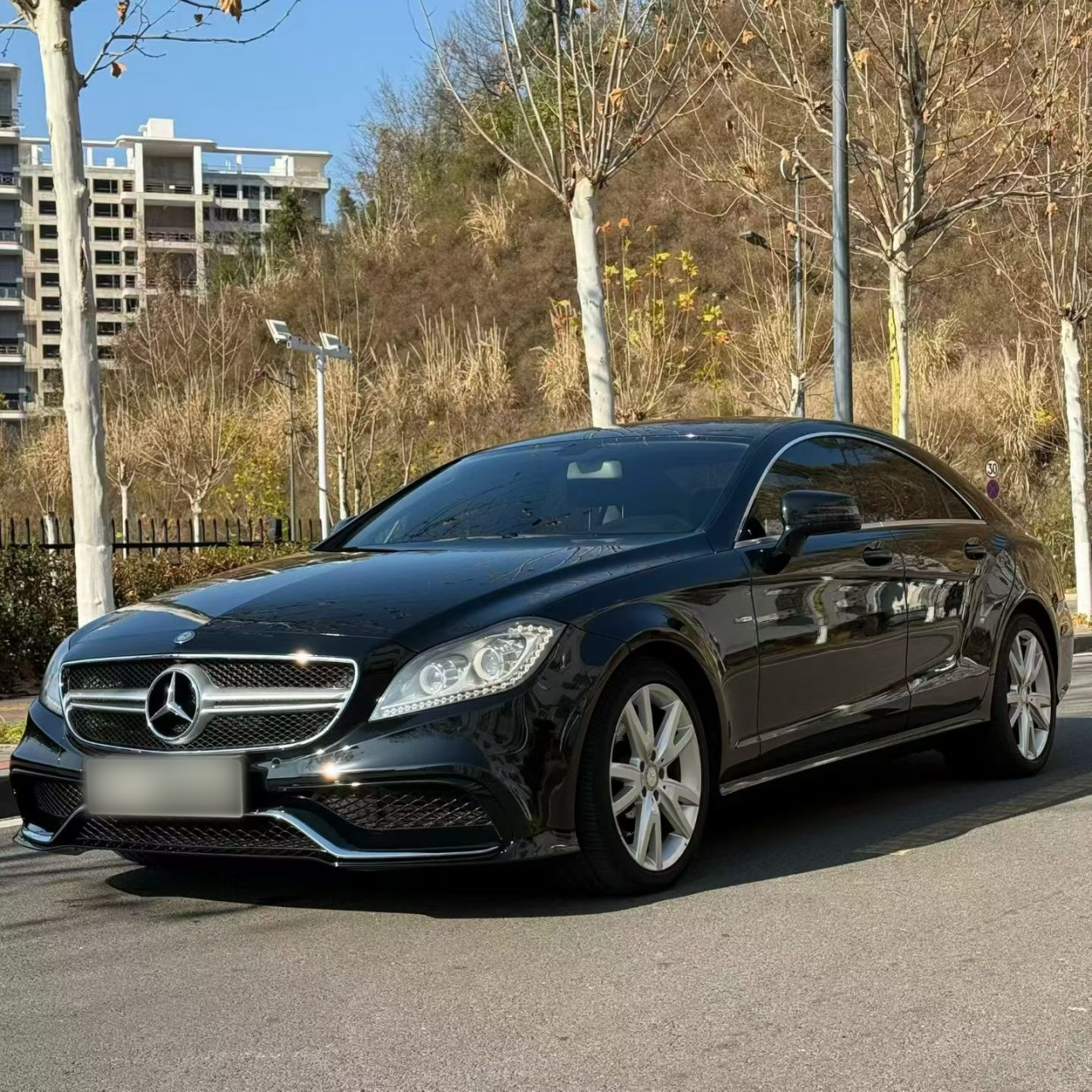 CLS 2012 CLS 300 CGI